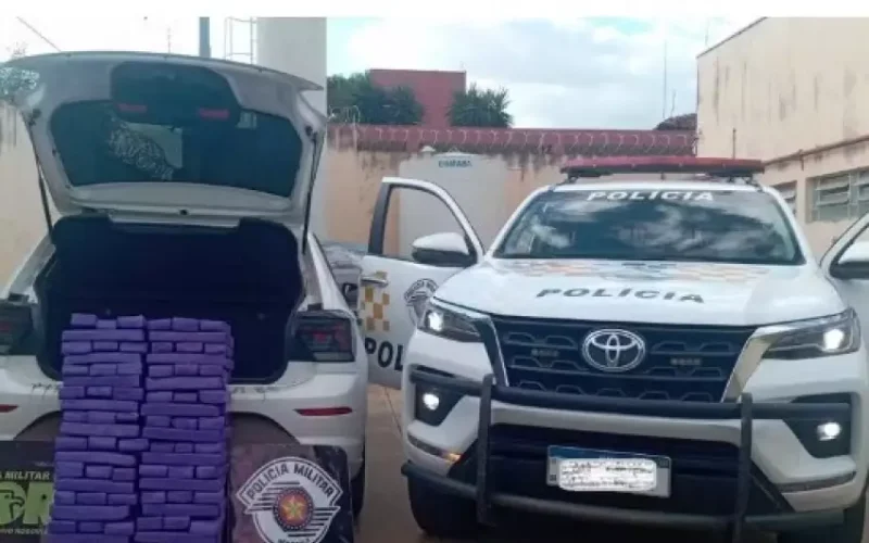 Motorista é preso ao transportar mais de 115 kg de maconha