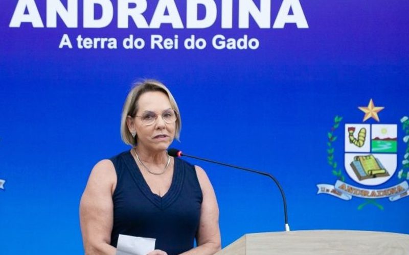 Andradina recebe avaliação “ótima” no atendimento à Atenção Básica