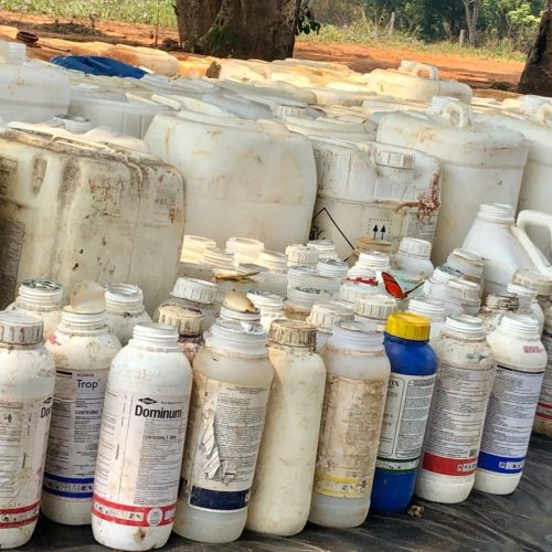 Campanha de recolhimento de embalagens de agrotóxicos acontece na Expoan