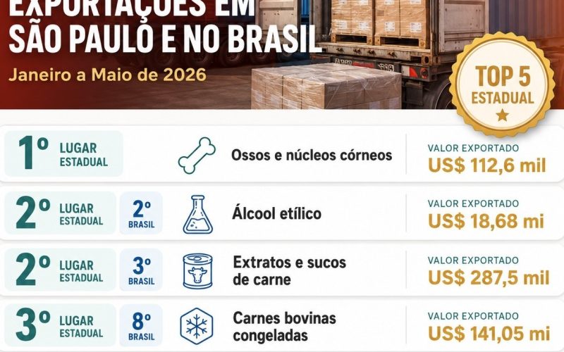 Andradina se destaca entre os maiores exportadores do Estado de São Paulo em 2026