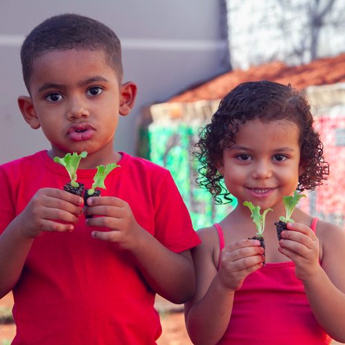 Projeto de Hortas Produtivas inicia no CEI Milton Francisco Jorge