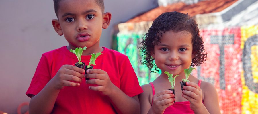 Projeto de Hortas Produtivas inicia no CEI Milton Francisco Jorge