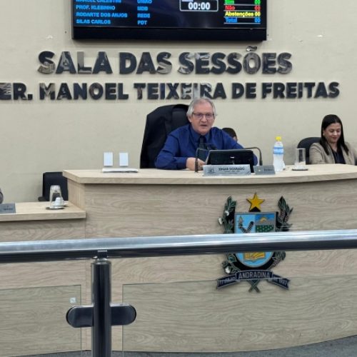 Câmara de Andradina discute serviço de plantio de árvores, retorno de banda marcial e asfaltamento