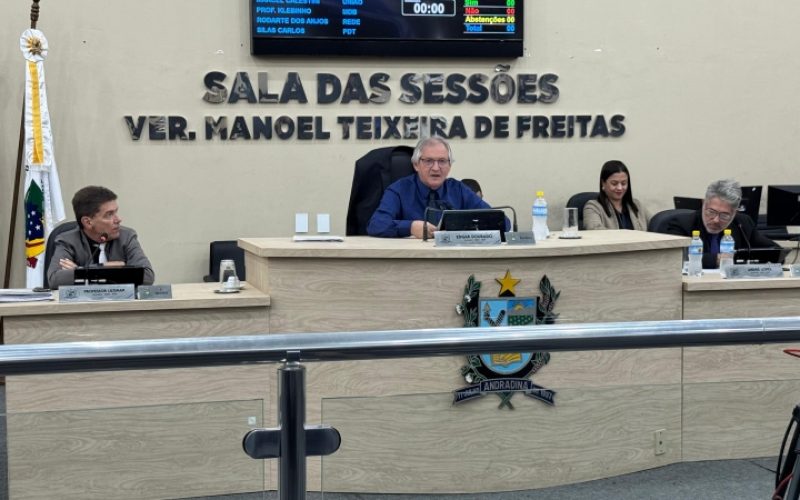 Câmara de Andradina discute serviço de plantio de árvores, retorno de banda marcial e asfaltamento