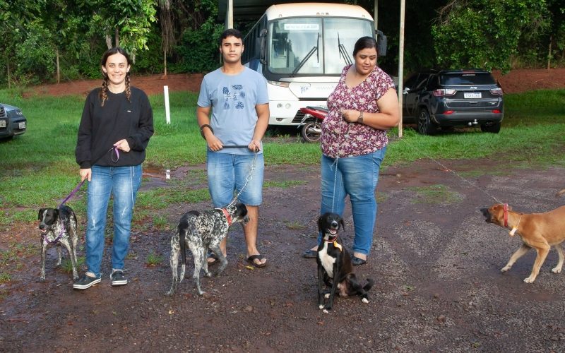 Cerca de 80 cães serão castrados em novo mutirão em Andradina