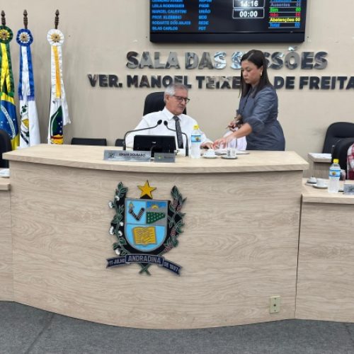 Dois projetos são aprovados na 9ª Sessão Ordinária