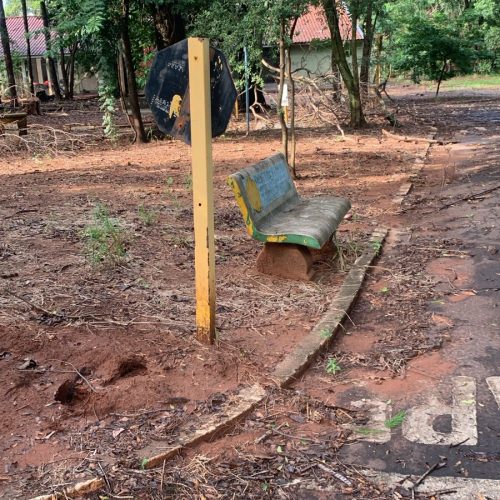 Antigo Bosque: Começa a iluminação do Horto Educacional da Vila Passarelli em Andradina