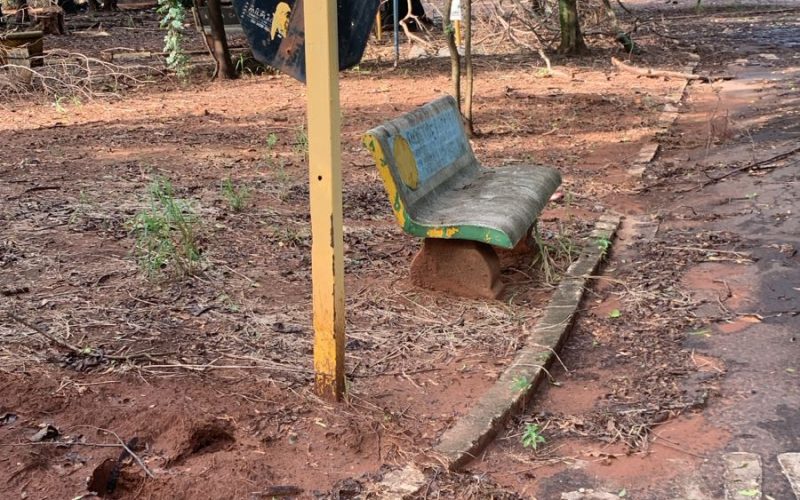 Antigo Bosque: Começa a iluminação do Horto Educacional da Vila Passarelli em Andradina