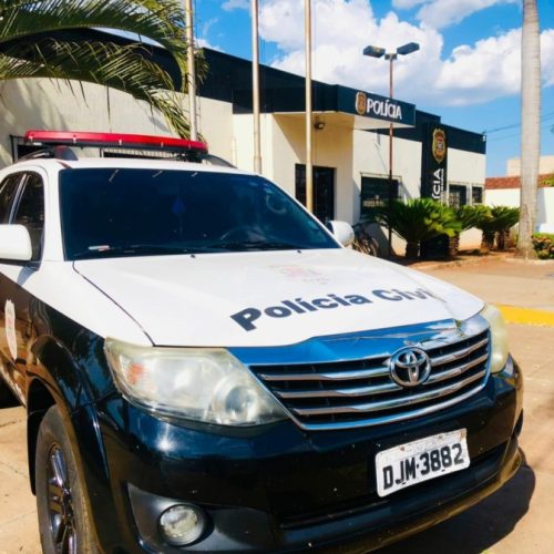 Polícia Civil de Castilho prende morador por violência doméstica após registro de ocorrência na DDM Online