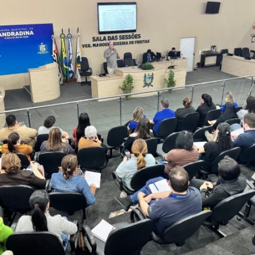 Câmara de Andradina recebeu palestra sobre acesso a recursos para infância e adolescência