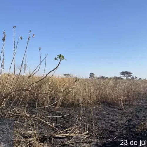 Queimada em pastagem rende multa de R$ 25 mil a proprietário