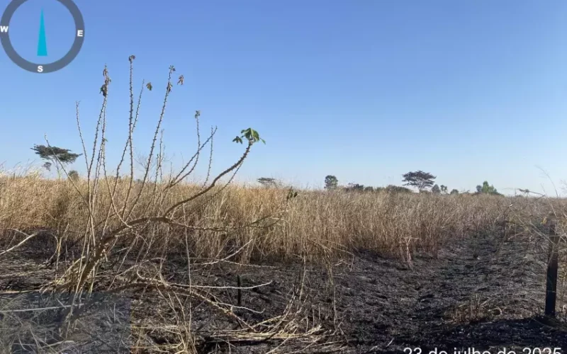 Queimada em pastagem rende multa de R$ 25 mil a proprietário