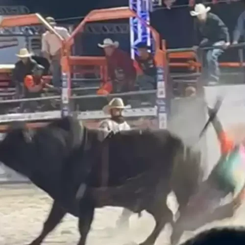 Peão de 20 anos é arrastado por touro em rodeio