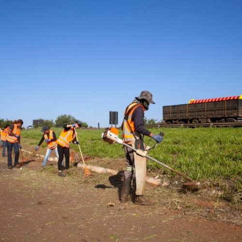 Limpeza de terreno será cobrado pela Prefeitura de Andradina e proprietário pode ser multado