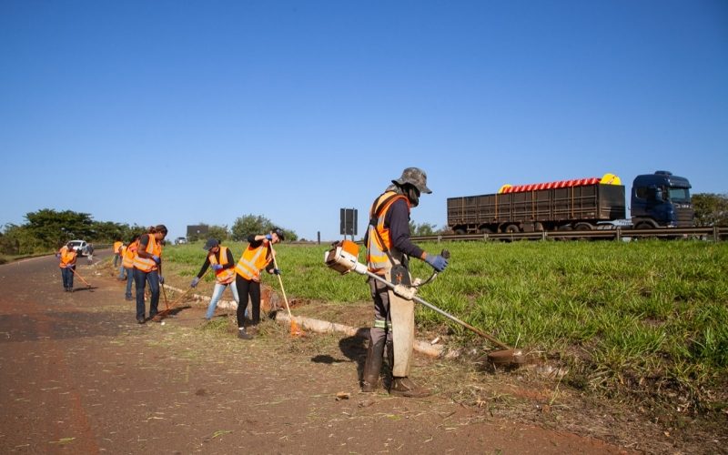 Limpeza de terreno será cobrado pela Prefeitura de Andradina e proprietário pode ser multado