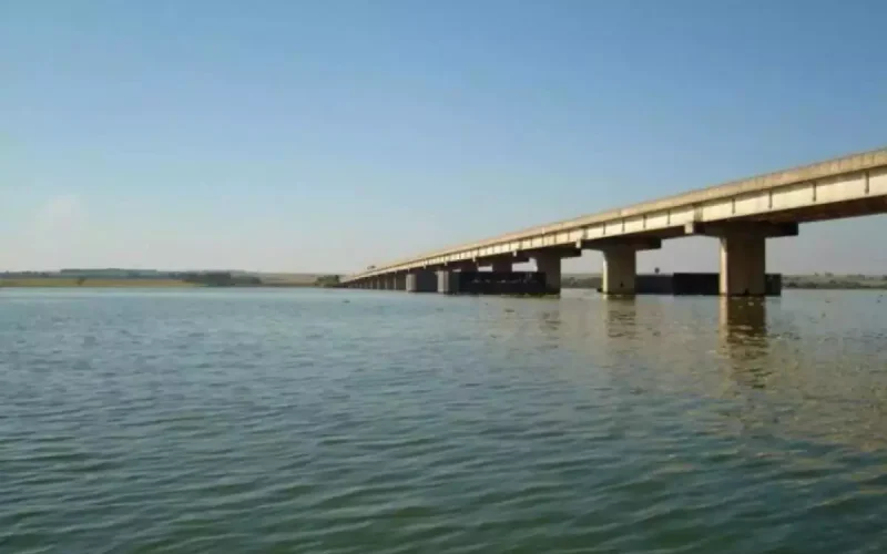 Rio Tietê agoniza: toxinas matam peixes e ameaçam a saúde