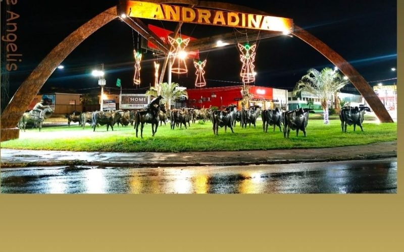Grupo Amamos Andradina Completa 10 Anos de Conexões e Criatividade
