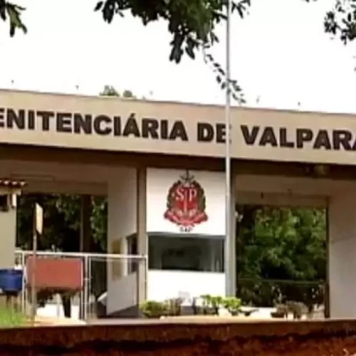 Mulher é flagrada com celulares escondidos na região pélvica