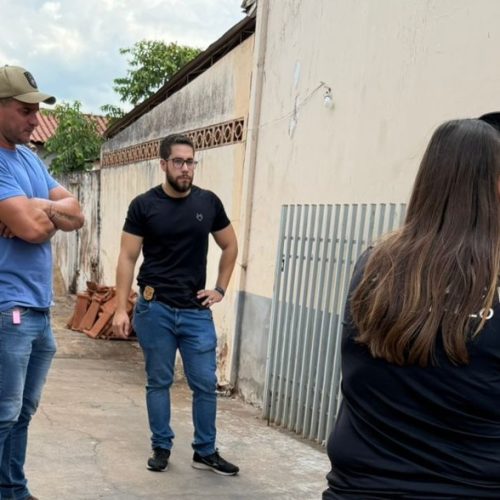 Idoso é preso por maus-tratos após matar dois gatos em Andradina