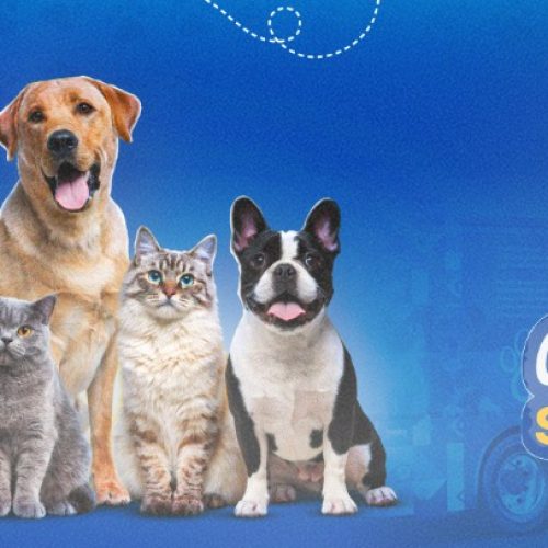 Andradina vai receber o programa Castra + São Paulo