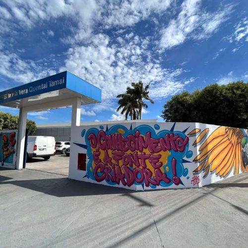 Entrada da escola em Andradina Maria Vera é tematizada