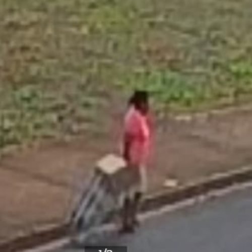 Abandono de filhotes é flagrado por câmera de segurança na Vila Mineira
