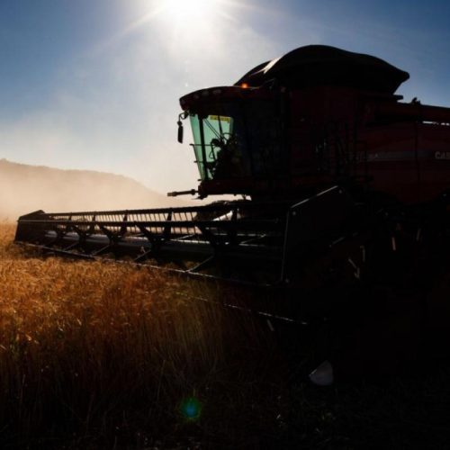 Endividamento no agro acende alerta entre produtores rurais