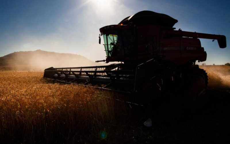 Endividamento no agro acende alerta entre produtores rurais