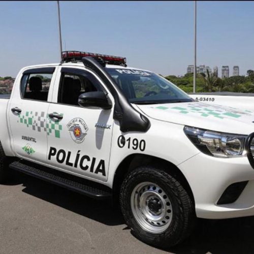 Ambiental multa criador por soltar aves silvestres em Andradina