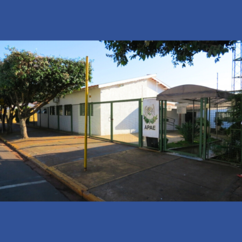 Apae discutiu impactos de decreto federal em reunião na Câmara de Andradina