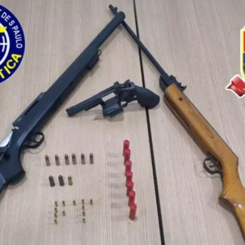 Adolescente é flagrado com armas e munições em Andradina