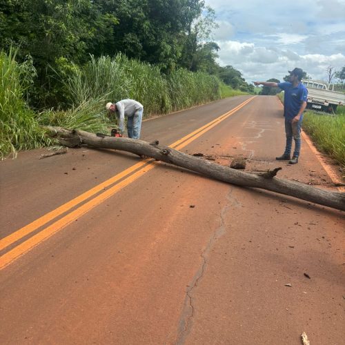 Defesa Civil faz supressão de árvores após fortes chuvas em Andradina