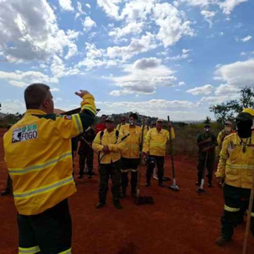 Governo de SP abre inscrições para 243 vagas de brigadistas com salários de até R$ 4 mil