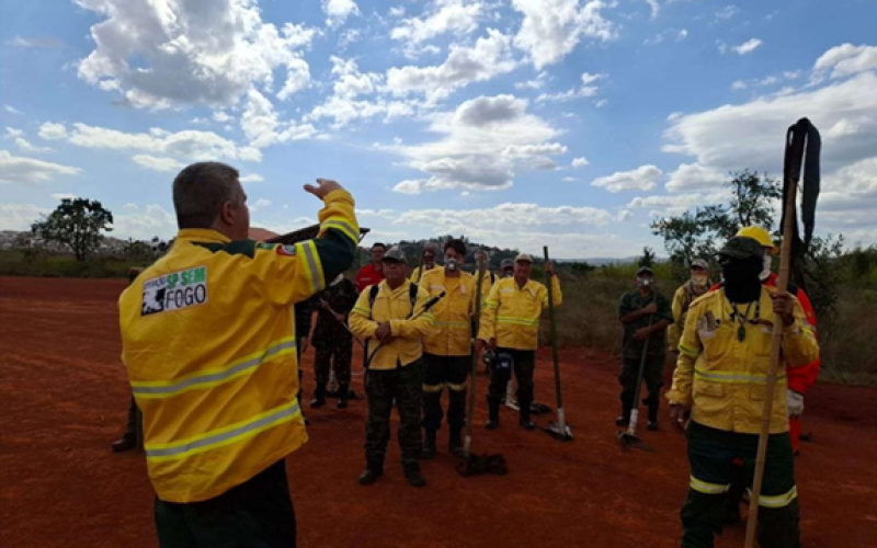 Governo de SP abre inscrições para 243 vagas de brigadistas com salários de até R$ 4 mil