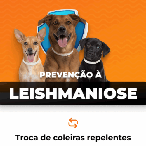 Pereira Barreto realizará troca de coleiras repelentes contra a Leishmaniose