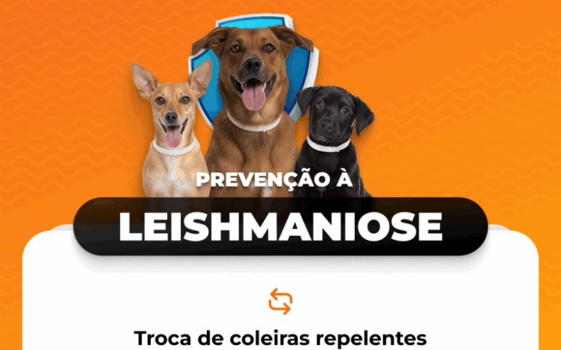 Pereira Barreto realizará troca de coleiras repelentes contra a Leishmaniose