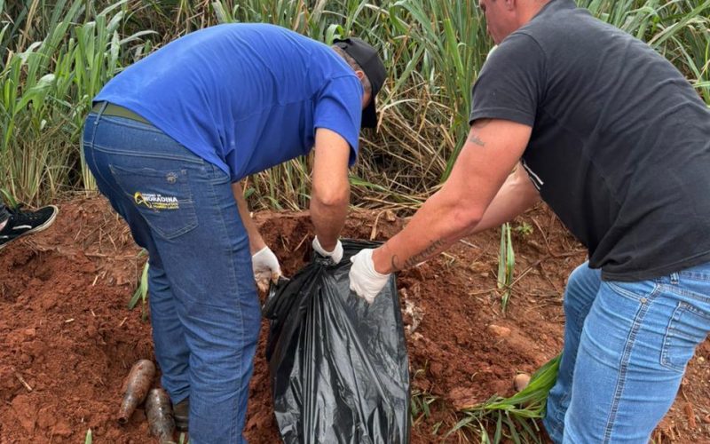 Corpo de cão morto é desenterrado e encaminhado para necropsia em Andradina