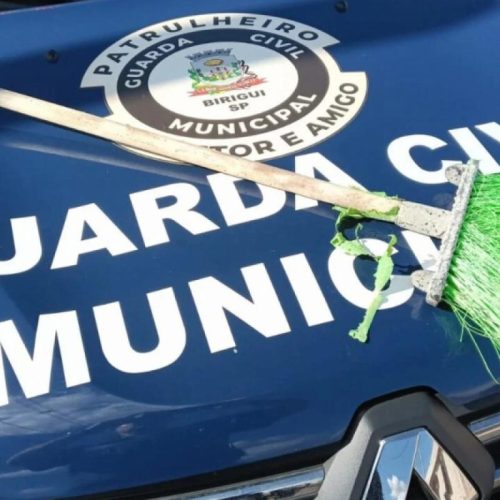 Mulher é levada à delegacia após dar vassouradas em cadela