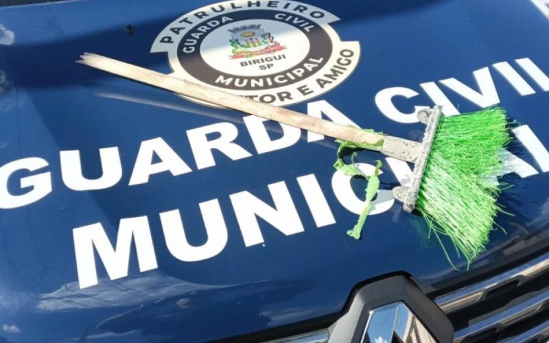 Mulher é levada à delegacia após dar vassouradas em cadela