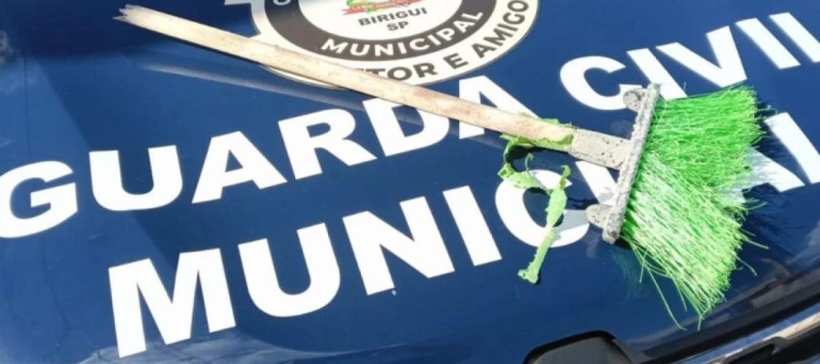 Mulher é levada à delegacia após dar vassouradas em cadela