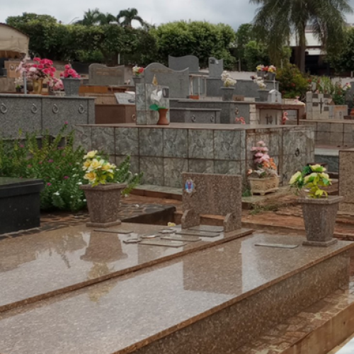 Governo de SP sanciona lei que autoriza o sepultamento de cães e gatos em jazigos familiares