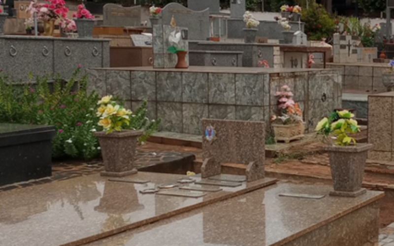 Governo de SP sanciona lei que autoriza o sepultamento de cães e gatos em jazigos familiares