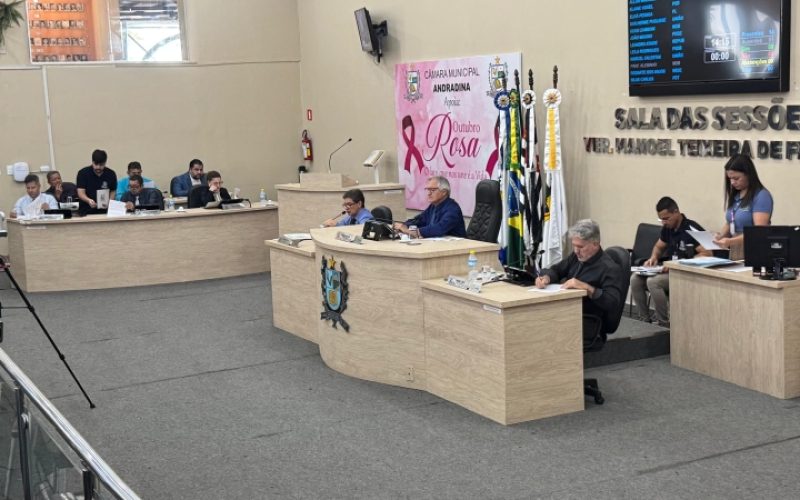 Legislativo de Andradina aprova diversos projetos na 34ª Sessão Ordinária
