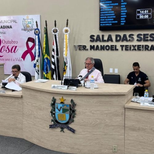 Câmara de Andradina celebra Outubro Rosa e aprova diversos projetos