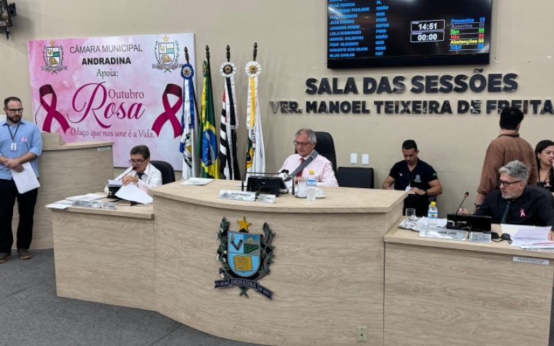 Câmara de Andradina celebra Outubro Rosa e aprova diversos projetos