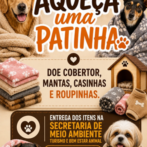 Campanha “Aqueça uma Patinha” mobiliza população em Castilho para ajudar animais no inverno