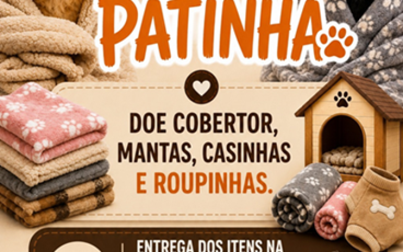 Campanha “Aqueça uma Patinha” mobiliza população em Castilho para ajudar animais no inverno