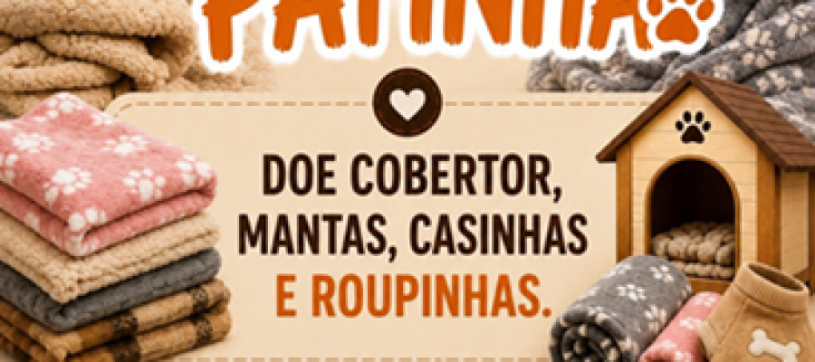 Campanha “Aqueça uma Patinha” mobiliza população em Castilho para ajudar animais no inverno