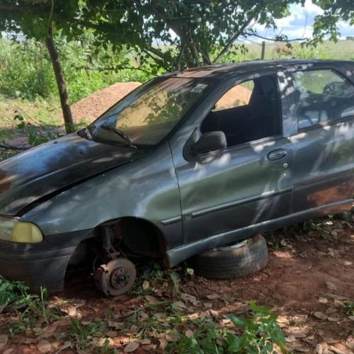 DIG encontra carro e gado furtados em Andradina em sítio localizado em Murutinga do Sul