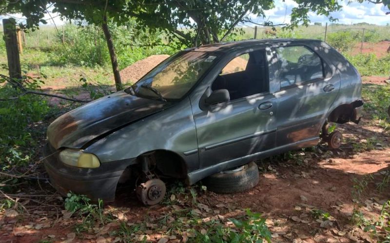 DIG encontra carro e gado furtados em Andradina em sítio localizado em Murutinga do Sul